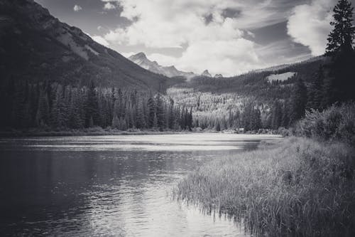 View of a Lake and Mountain