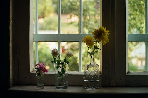 Free Flowers Vases over the Window Sill Stock Photo