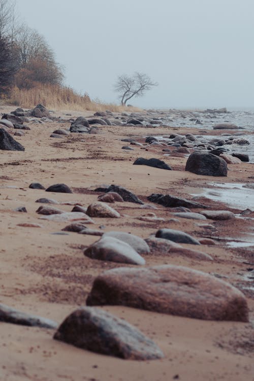 Big Rocks on Shore