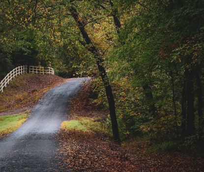 A peaceful autumn pathway in Scroggins, Texas surrounded by colorful fall foliage.