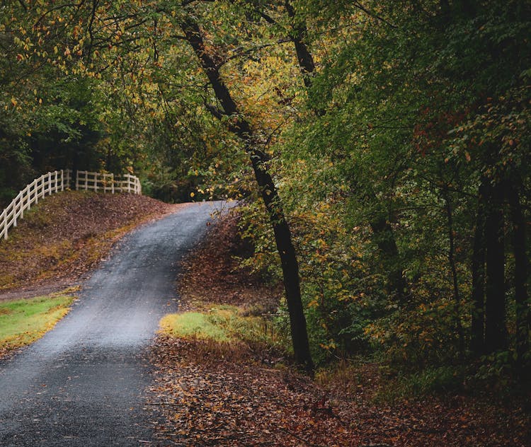 Narrow Road In A Hilly Park In Autumn