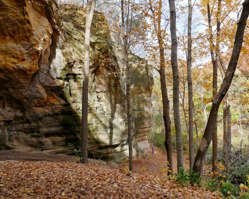 Person Standing under Huge Rock in Autumn Forest
