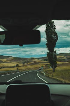 View through car windshield of a winding rural road lined with fields and a lone cypress tree under a moody sky.
