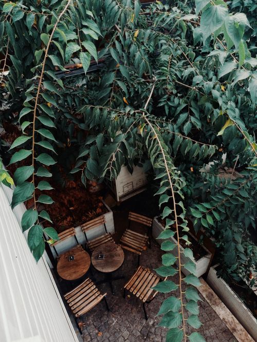 Free High-angle view of a charming outdoor café with wooden chairs and tables under lush green foliage. Stock Photo