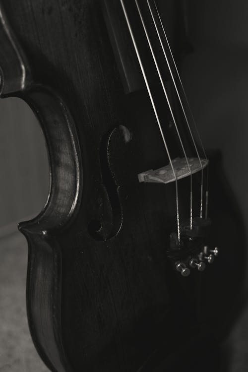 Grayscale Photo of a Violin 