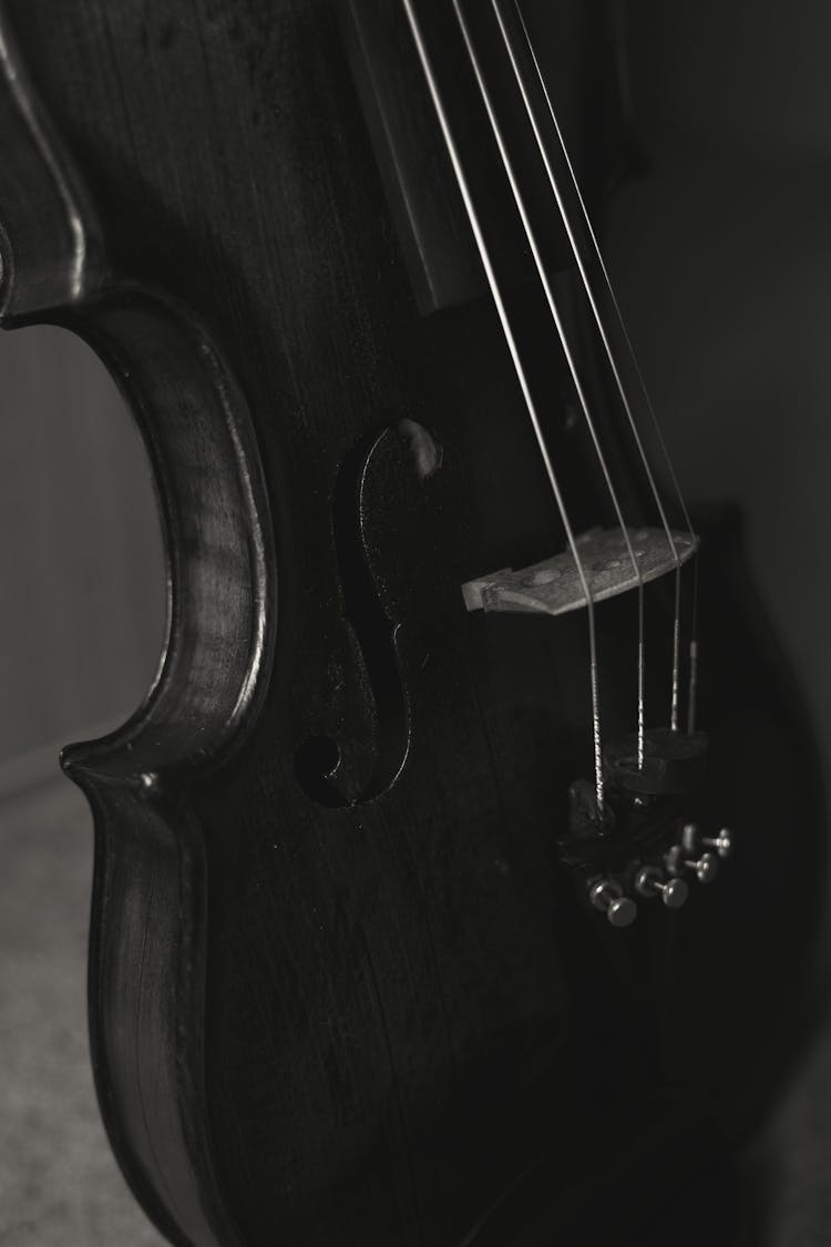 Grayscale Photo Of A Violin 