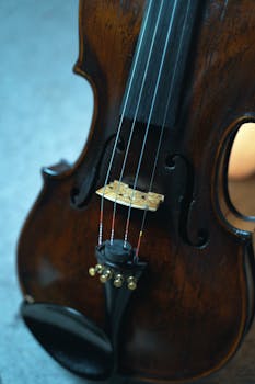 Detailed close-up of a violin focusing on strings and bridge, highlighting the craftsmanship of the musical instrument.
