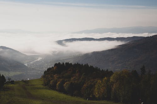 Foto profissional grátis de árvores, colina, floresta