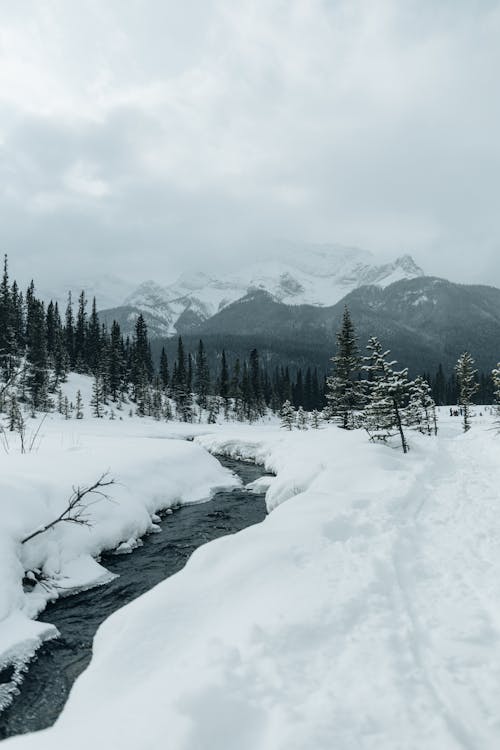 River Running Through a Snow Covered Landscape
