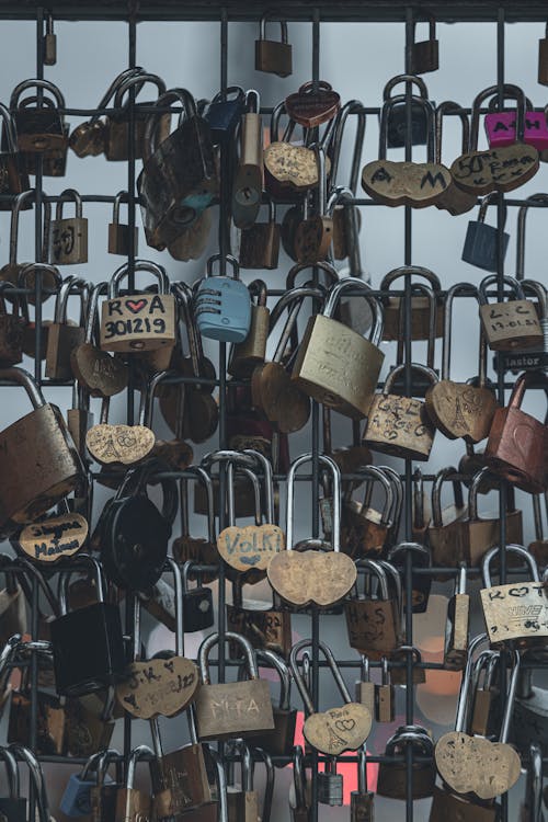 Photos gratuites de abondance, barrière, cadenas