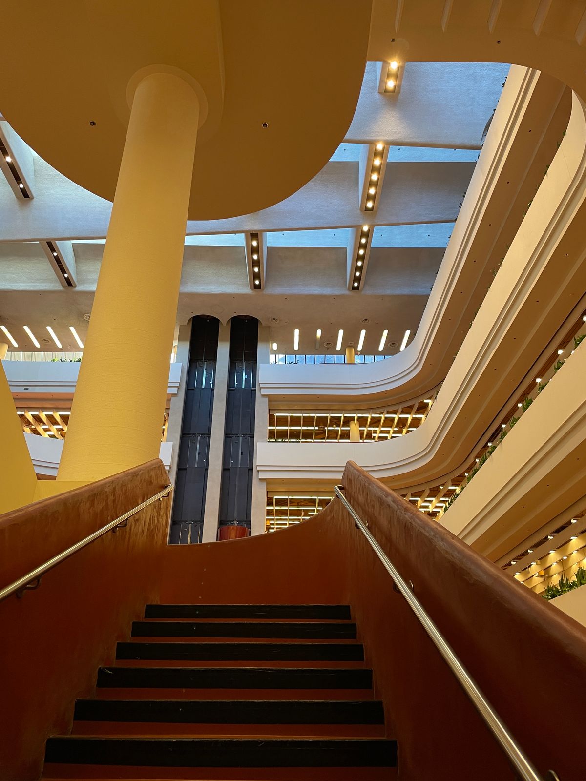 Toronto Reference Library interior for late-night studying