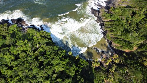 Free Drone shot capturing lush tropical forest meeting the coast of Trinidad. Stock Photo