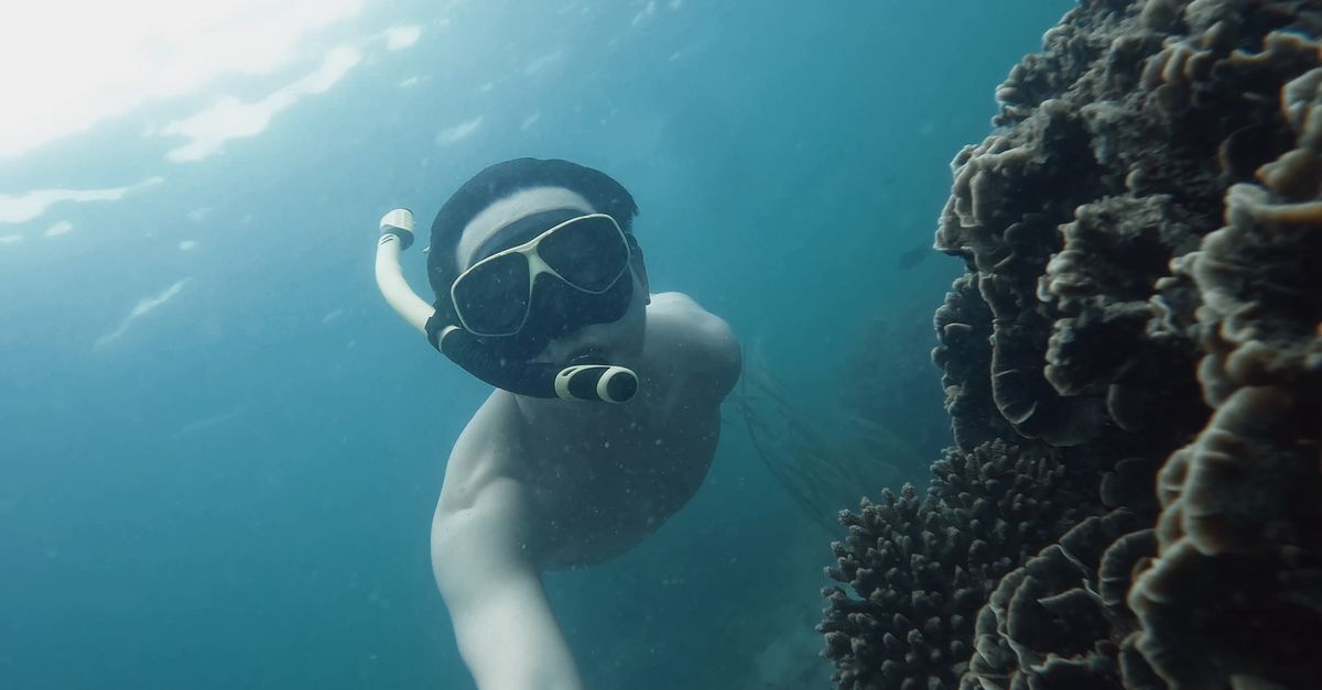 A snorkeler explores vibrant coral reefs in clear blue waters, capturing underwater beauty.