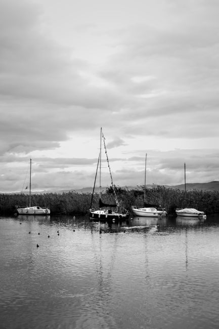 Peaceful scene of sailboats docked on a calm lake in Struga, North Macedonia. Black and white tones create a tranquil ambiance.