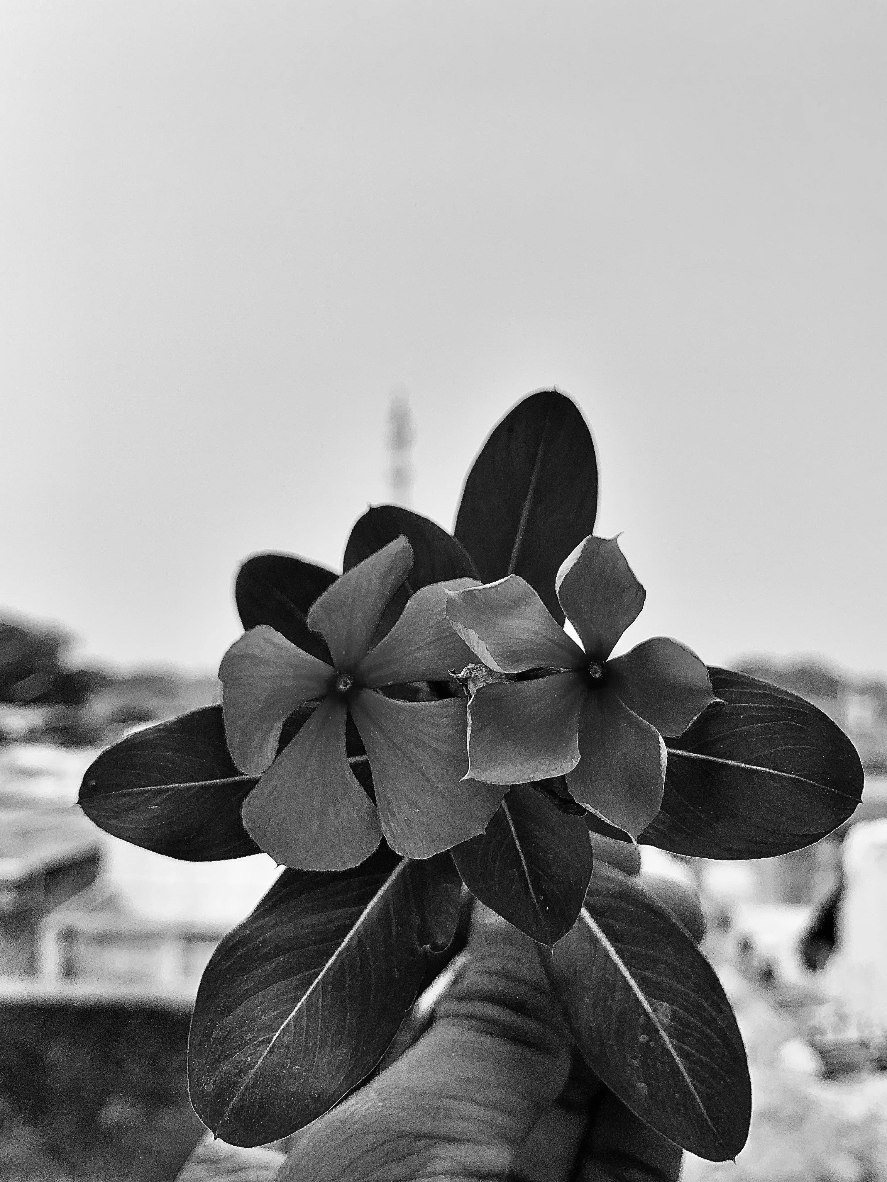 Cluster Munitions Photos, Download The BEST Free Cluster Munitions