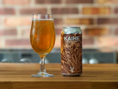 Malt Beer in a Glass