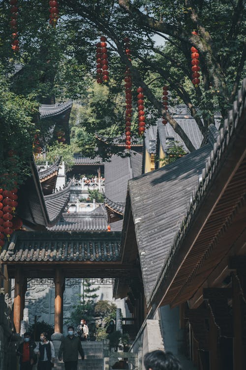 中國, 中國建築, 佛教 的 免費圖庫相片