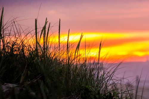 Free Vivid sunset with silhouette of grass, showcasing a blend of orange and purple hues in the sky. Stock Photo