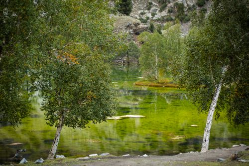 Free Green Lake Stock Photo