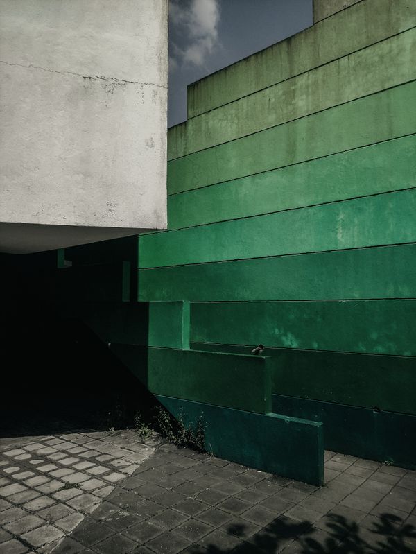 Abstract urban green wall — Rubenstein Rebello on Pexels