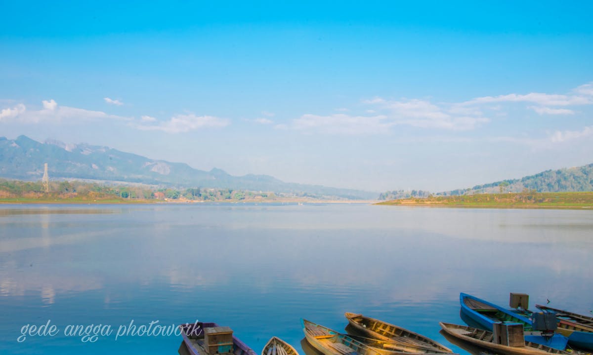 Rat and Rodent Control in Brentwood and Central Islip: Eliminating Norway Rats From Your Property