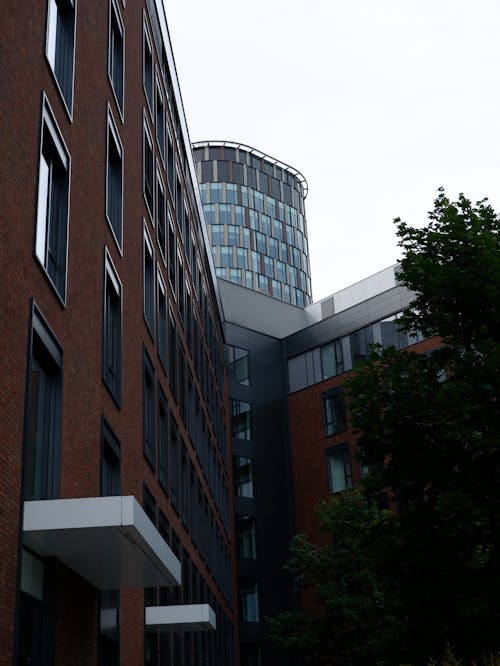 Facade of a Modern Building and a Skyscraper in City 