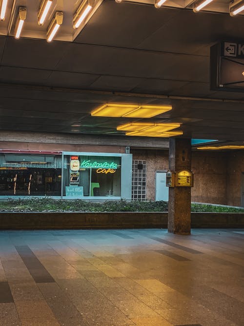 무료 1 층, 건물, 네온 불빛의 무료 스톡 사진