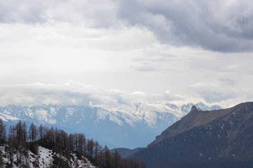 Photos gratuites de alpes, arbres d'automne, colline