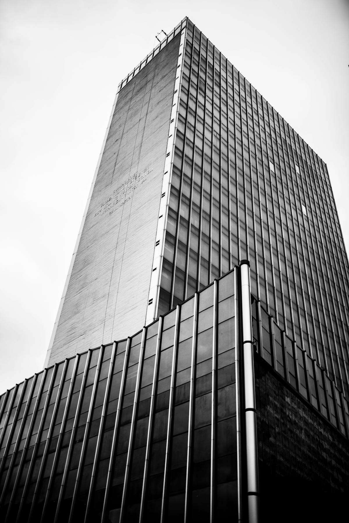 Small bowl of creamy yogurt sauce with herbs