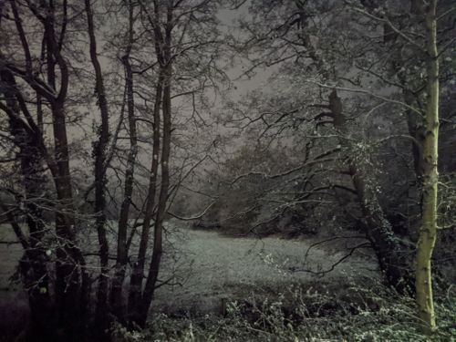 Free Spooky English countryside in winter Stock Photo