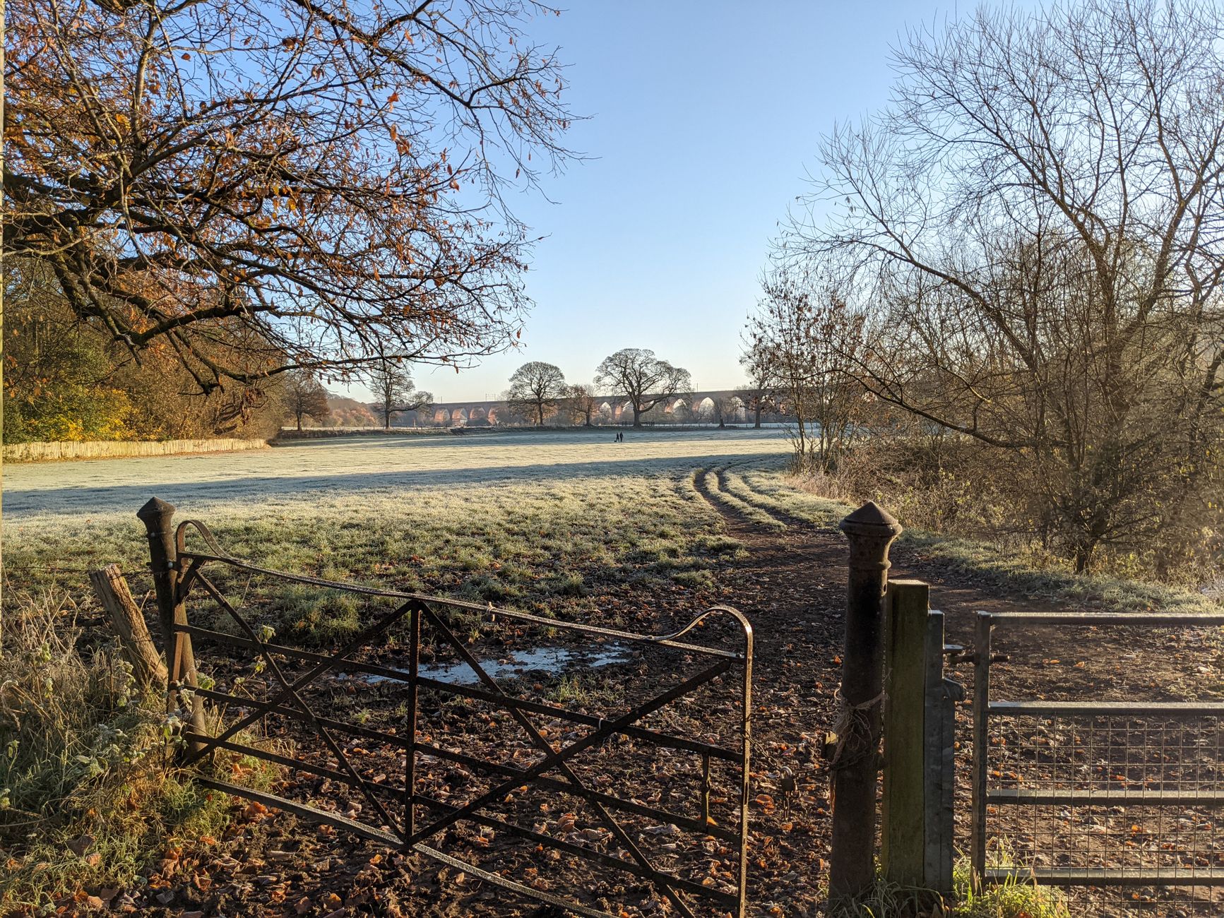 Crisp sunny morning