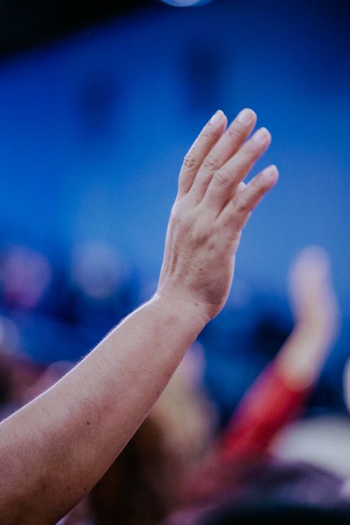 Hand Rased Up Hand Raised Up · Free Stock Photo