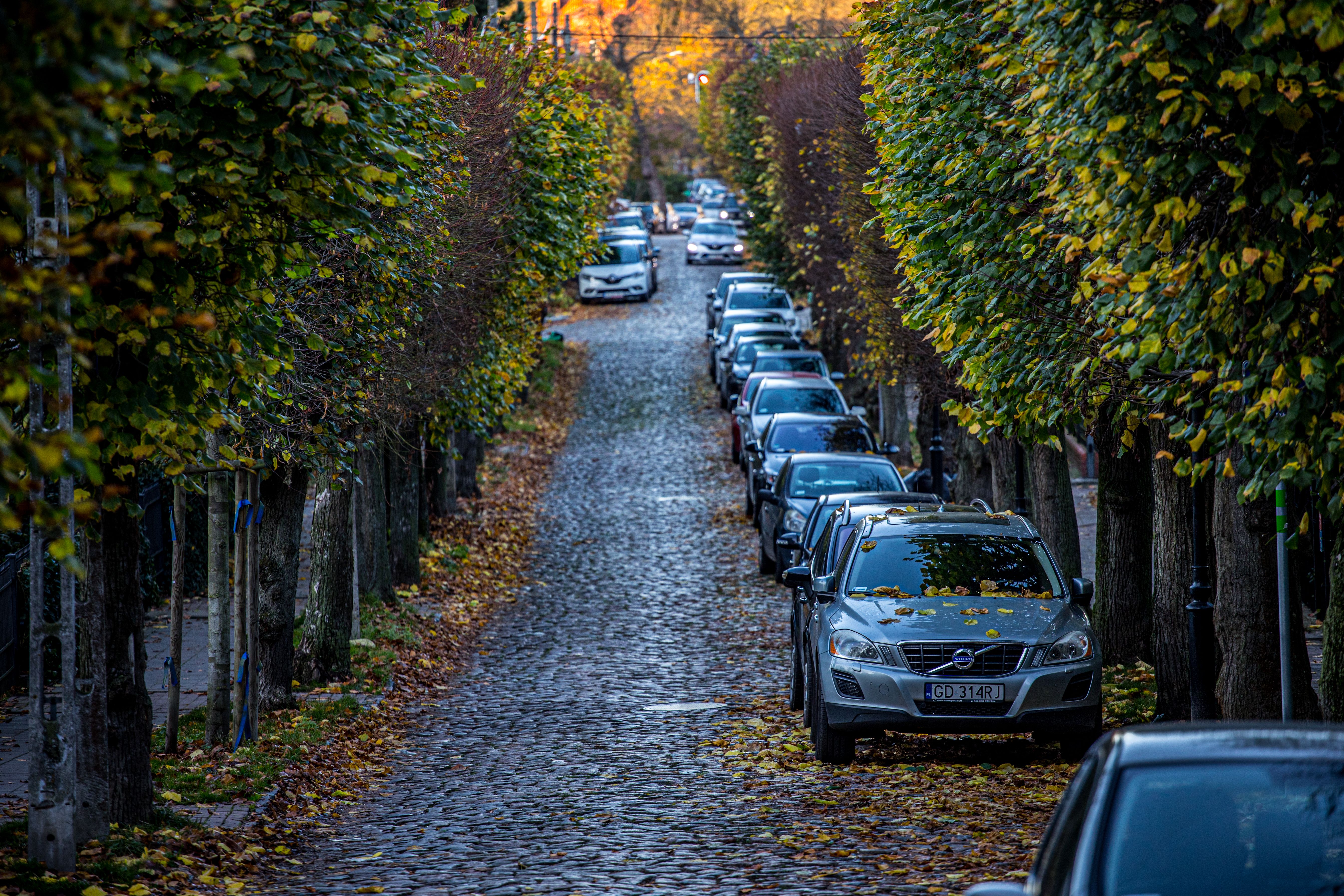 Passeggiate e Atmosfera nel Centro Storico