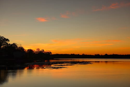 Gratis stockfoto met aanbreken van de dag, bomen, dageraad