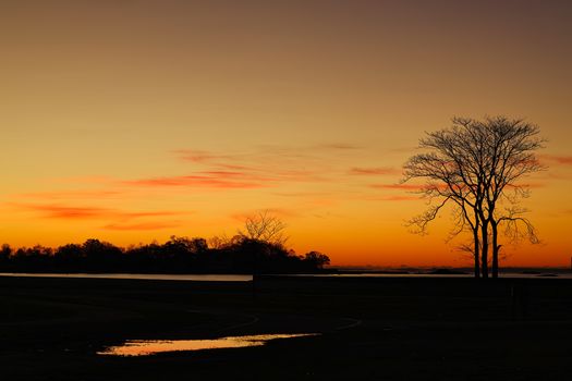 Serene sunset view with bare trees silhouetted against a vibrant sky and reflecting water.