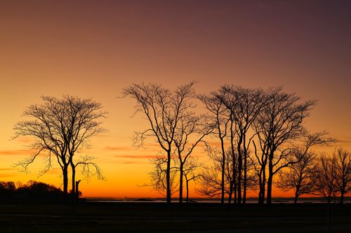 Free A stunning silhouette of trees at twilight with a vibrant orange and purple sky, offering a calm natural scene. Stock Photo