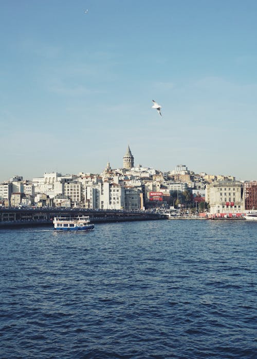 City View Across the Ocean