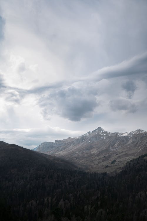 Green Trees and Mountains Under White Clouds