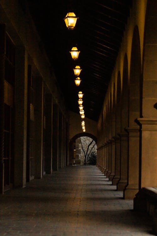 Hallway With Illuminated Lights