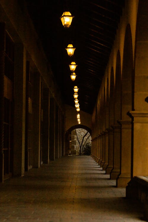 Concrete Pathway with Lights