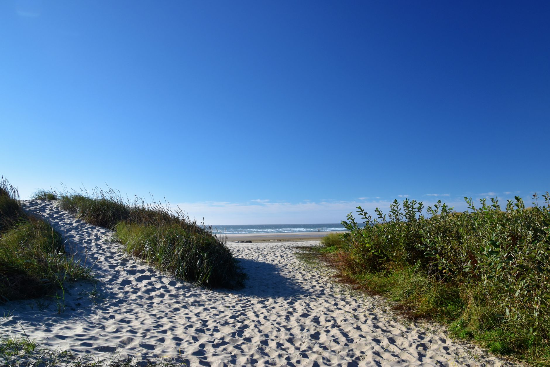 Beautiful ocean view with sand dunes and blue sky at Florence Beach, Oregon.