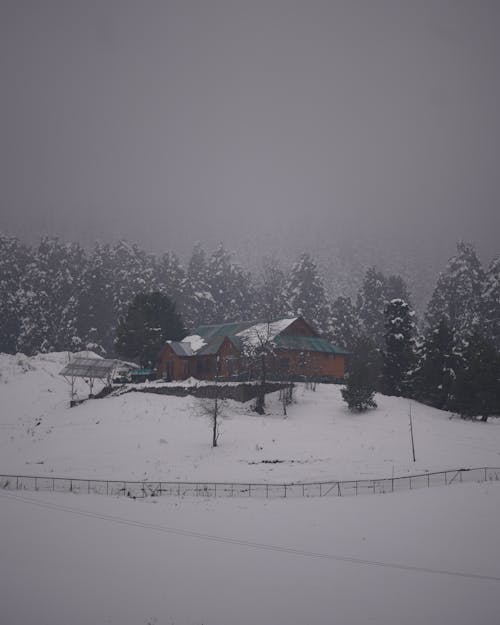 A Cabin during Winter