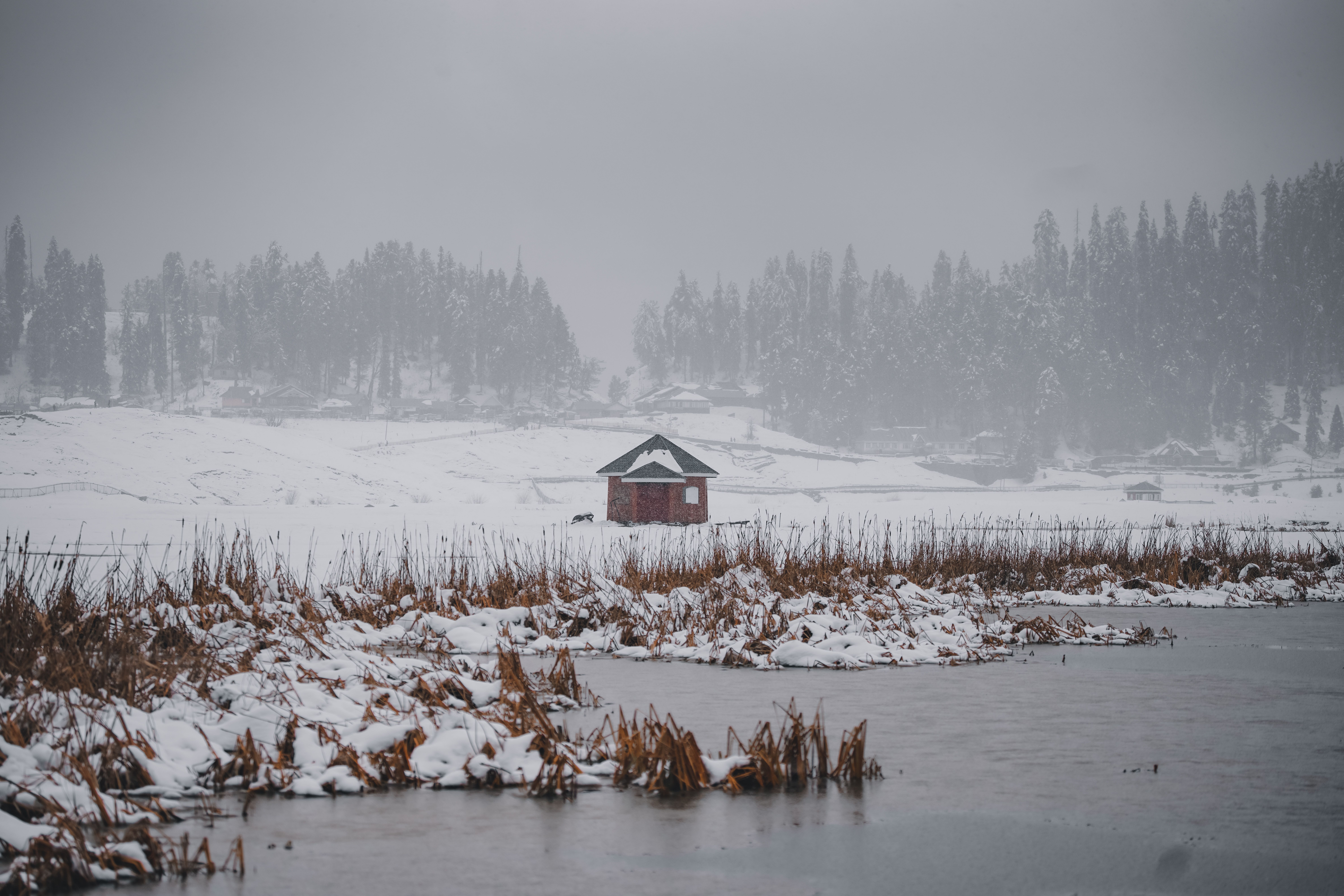 House Near the Lake at Winter · Free Stock Photo