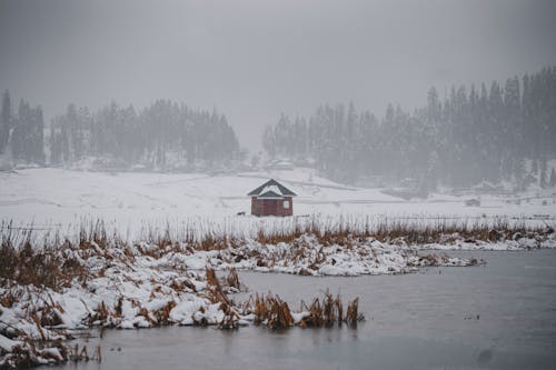 House Near the Lake at Winter