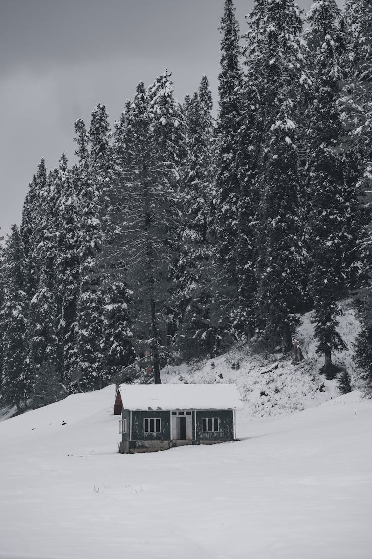 Small Cabin In Mountains In Winter