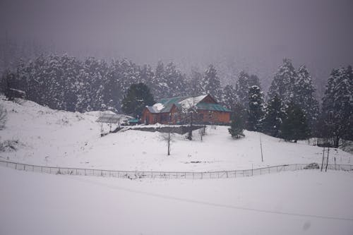 冬季, 大雪覆盖的地面, 山丘 的 免费素材图片