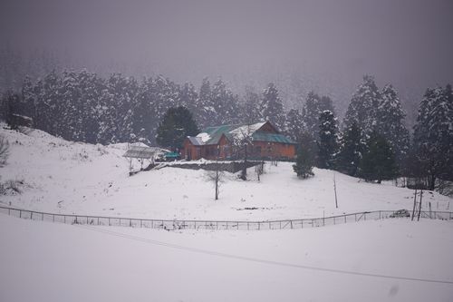 Free Charming wooden cabin amidst a snow-covered landscape with dense pine trees. Stock Photo