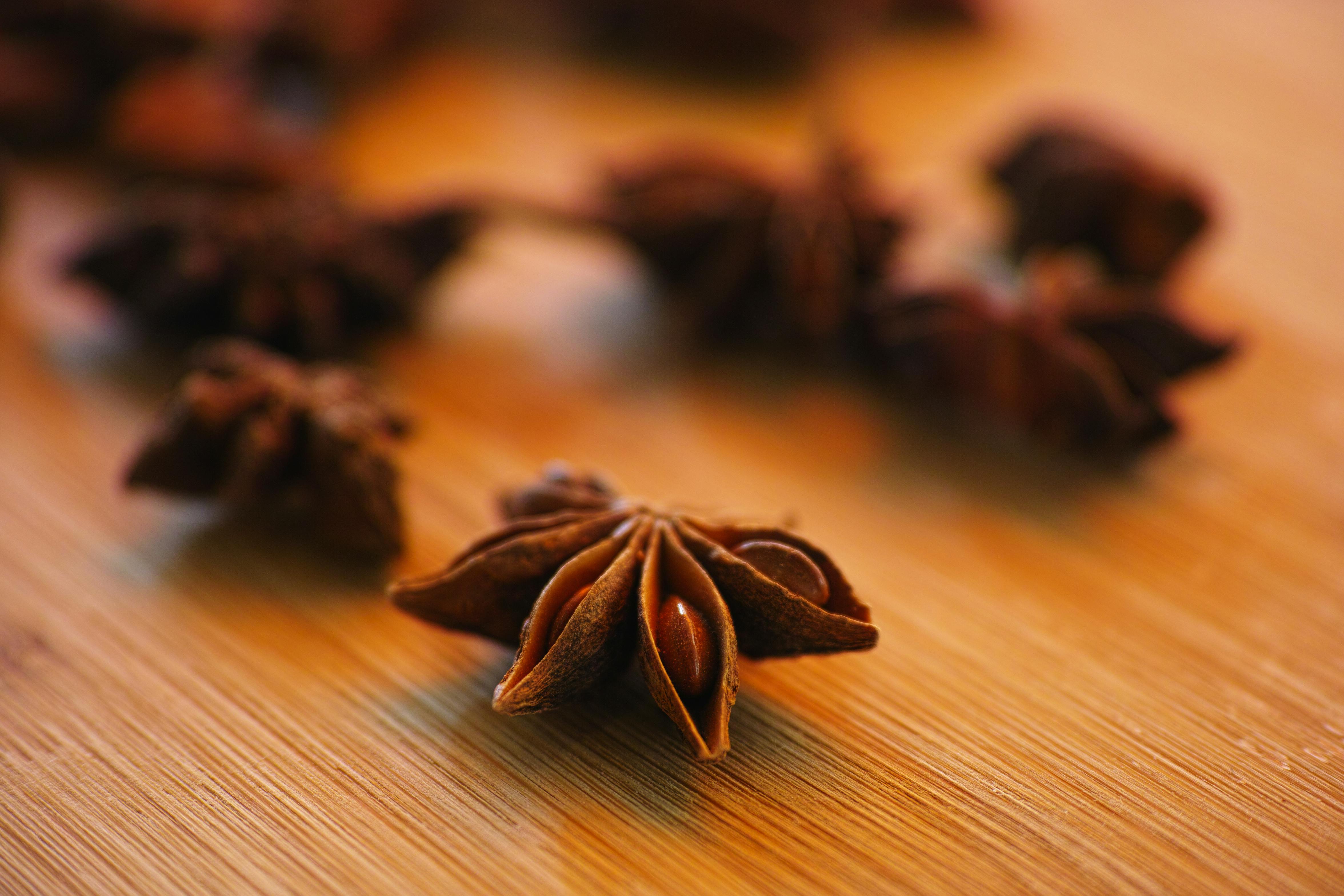 Star Anise on Red Spoon · Free Stock Photo