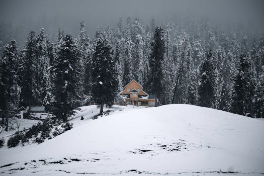 Serene winter scene of a cabin surrounded by snow-covered forest in Gulmarg.