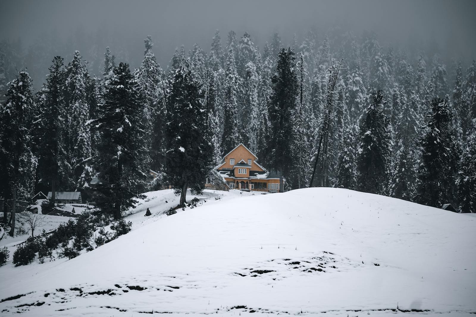 Srinagar Images